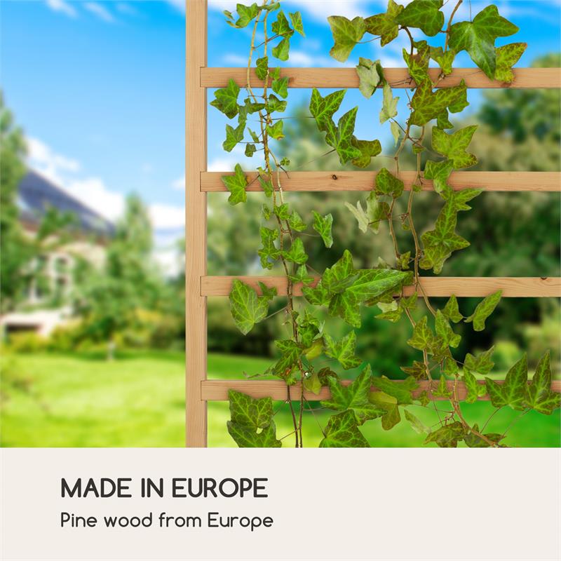 Blumfeldt Modu Grow 50 UP, mriežka na rastliny, 151 x 50 x 3 cm, borovica – Obrázok 5