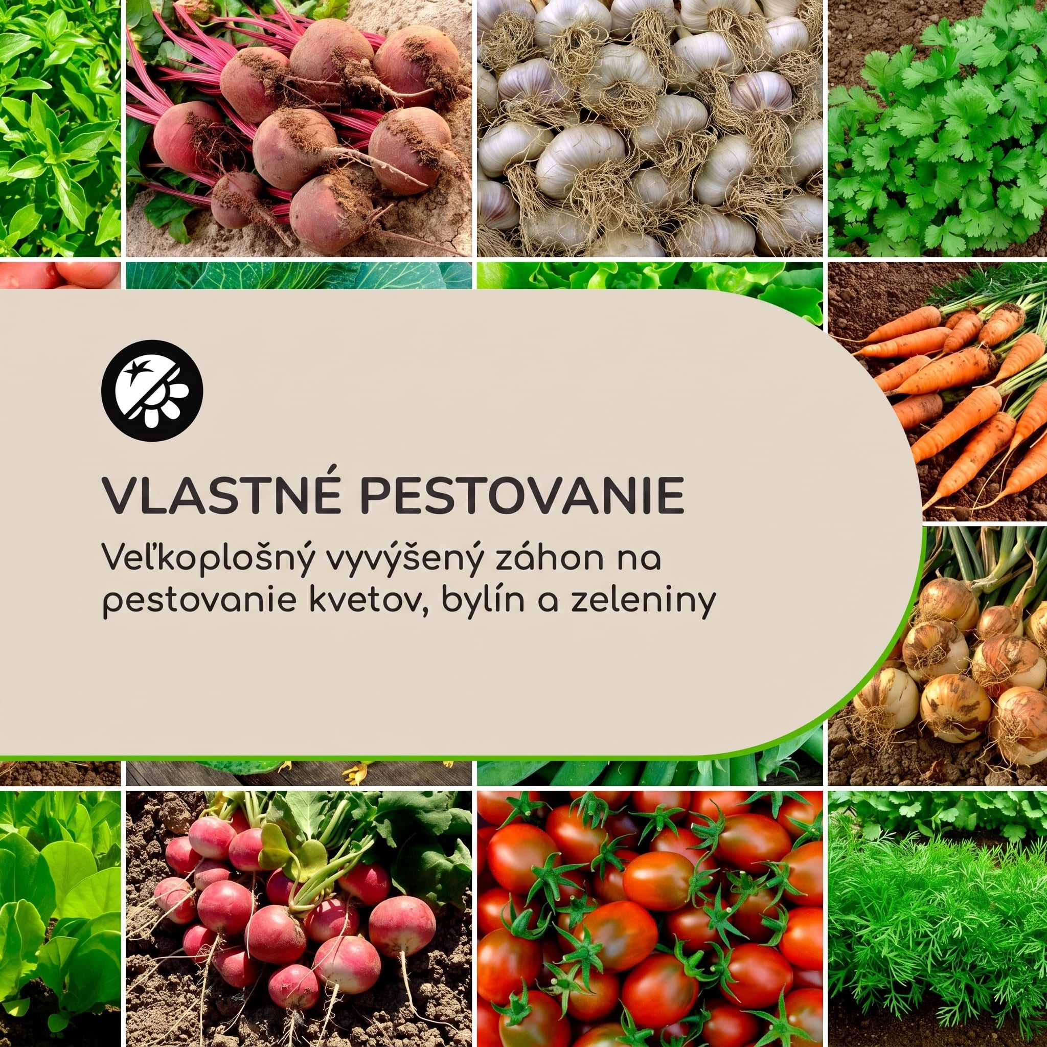 Blumfeldt Rust Grow vyvýšený záhon záhradný záhon pozinkovaný oceľový plech s hrdzavým efektom – Obrázok 4
