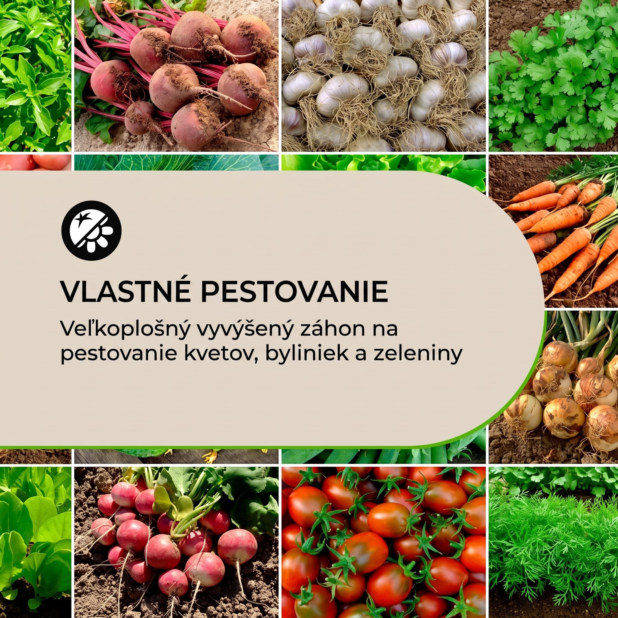Blumfeldt Rust Grow vyvýšený záhon záhradný záhon pozinkovaný oceľový plech s hrdzavým efektom – Obrázok 4